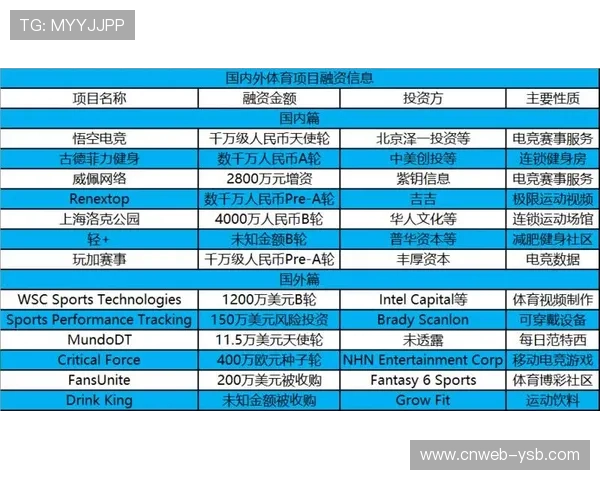 体育品牌与旅游服务平台合作开发主题路线。